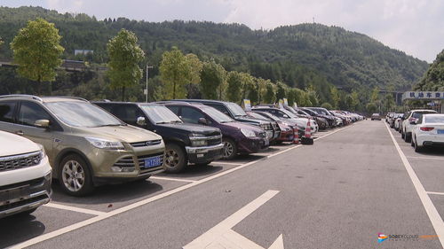 二手车交易迎来新变革 车驾管社会服务站启用，一站式服务提升交易效率